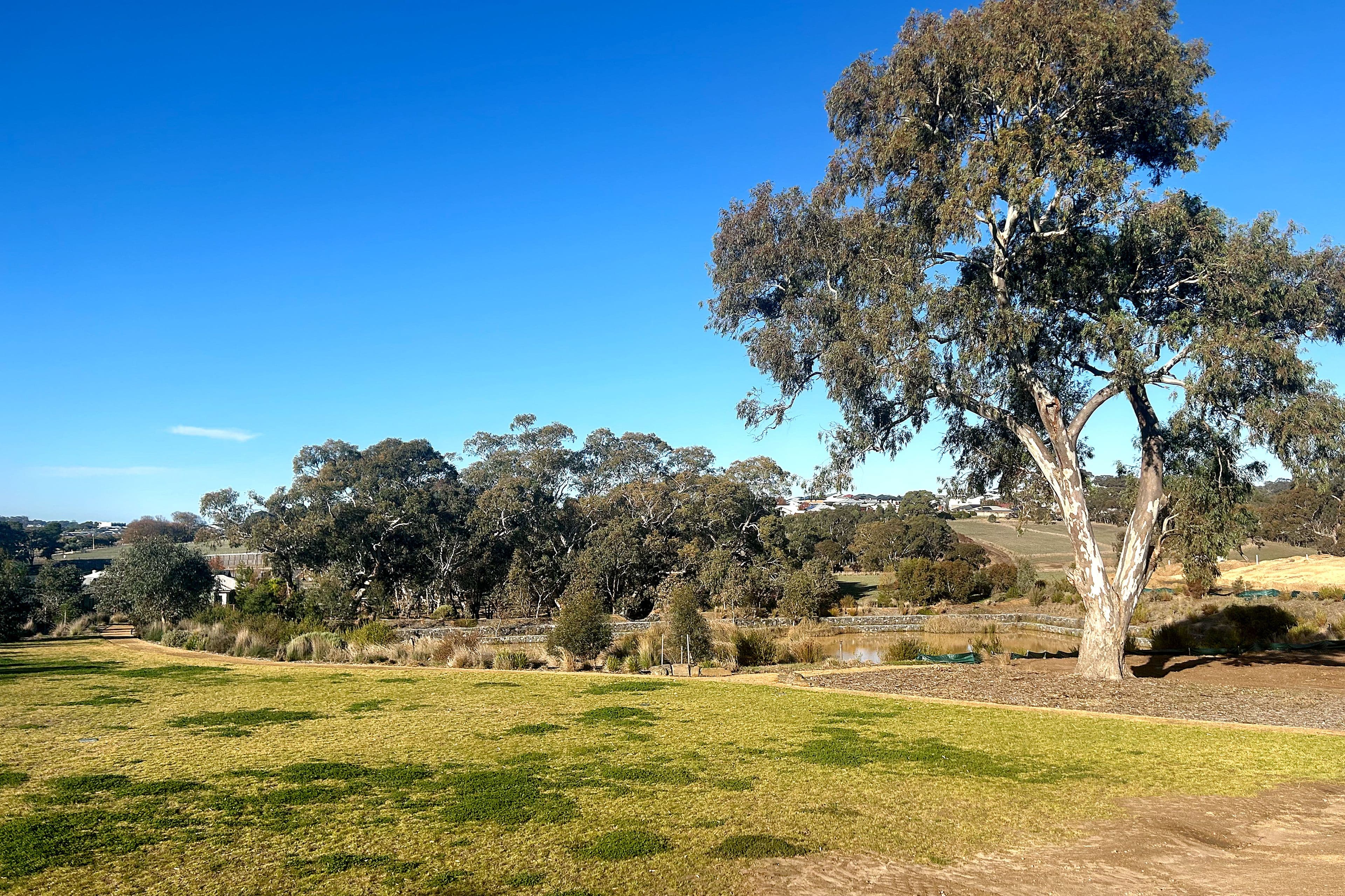 Lot 189 Range Street, Mount Barker SA 5251, Mount Barker - Thumbnail 4