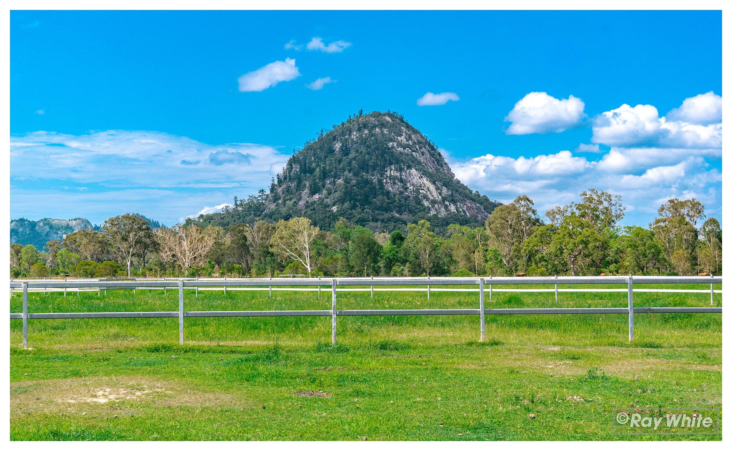 1600 Yeppoon Road, Mulara QLD 4703, Mulara - Thumbnail 3