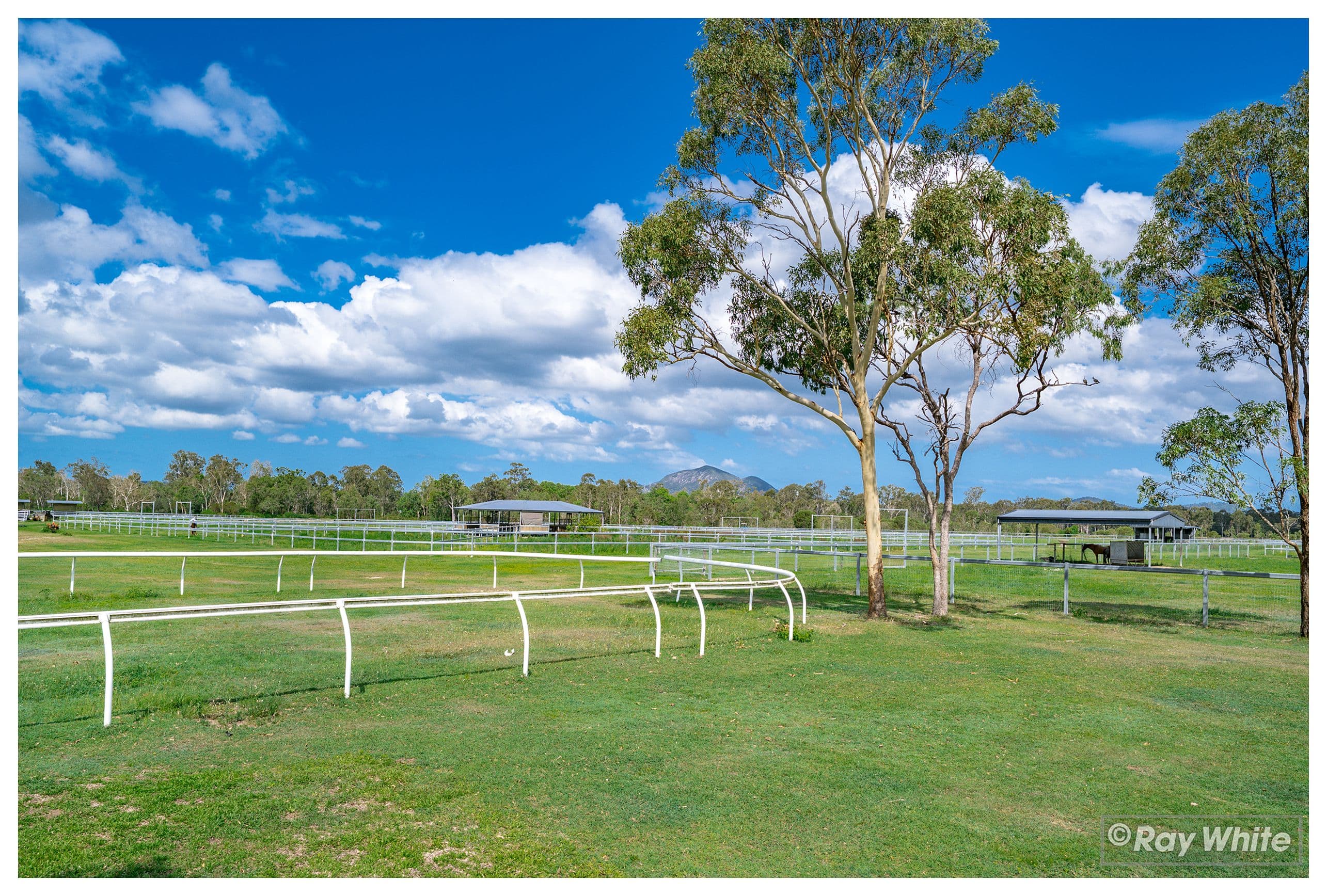 1600 Yeppoon Road, Mulara QLD 4703, Mulara - Thumbnail 4