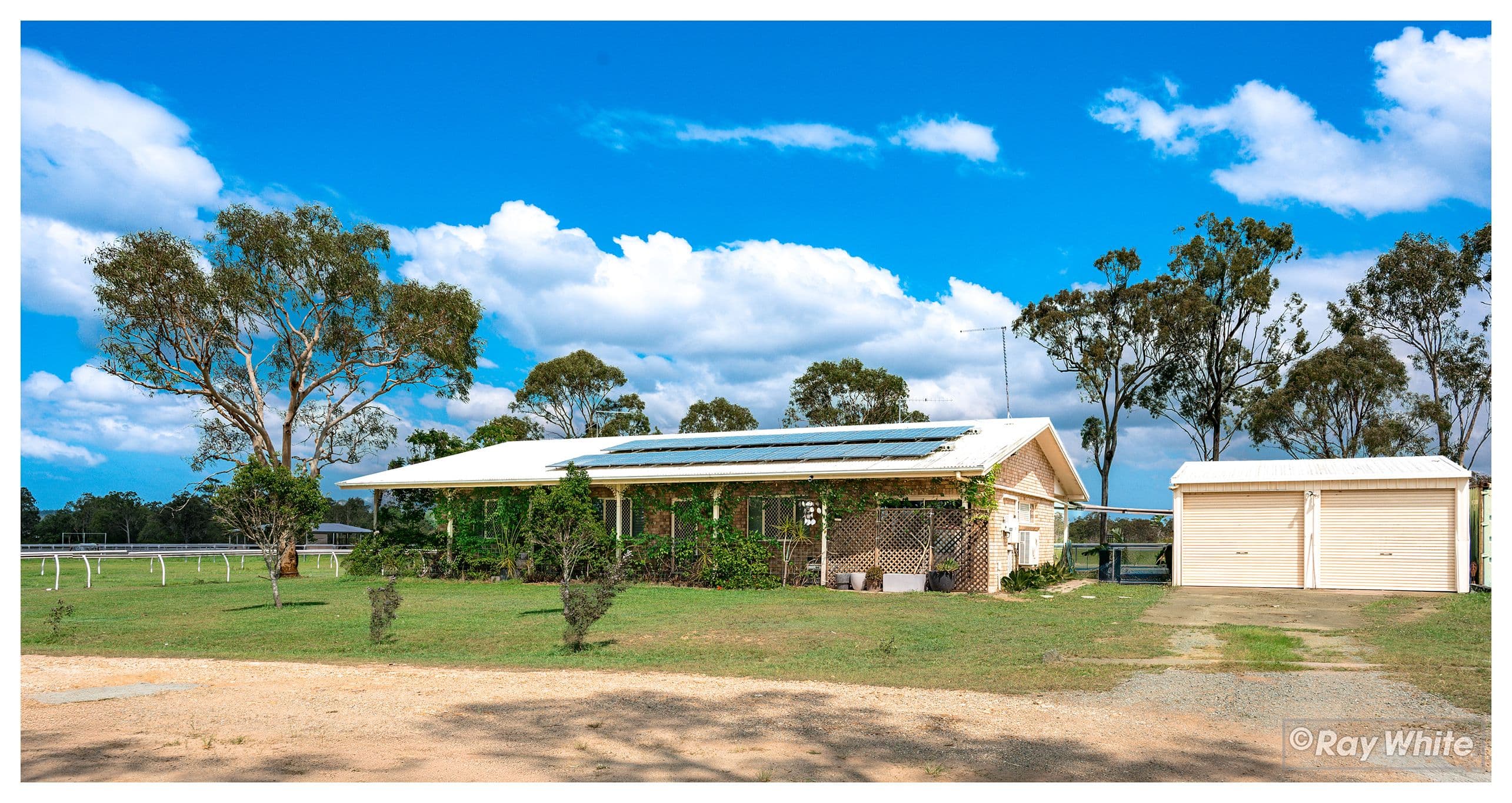1600 Yeppoon Road, Mulara QLD 4703, Mulara - Thumbnail 5