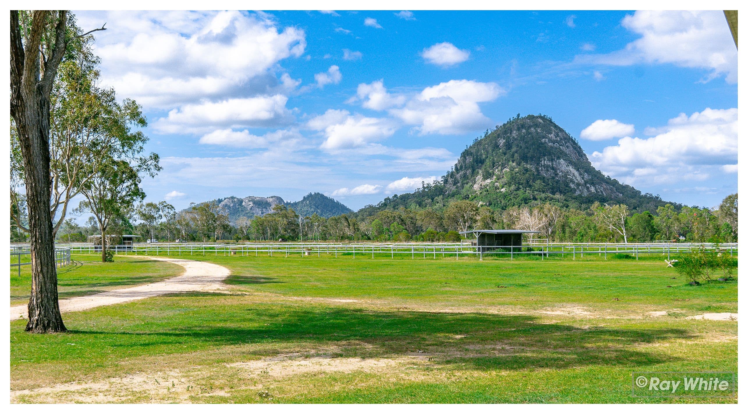 1600 Yeppoon Road, Mulara QLD 4703, Mulara - Thumbnail 6