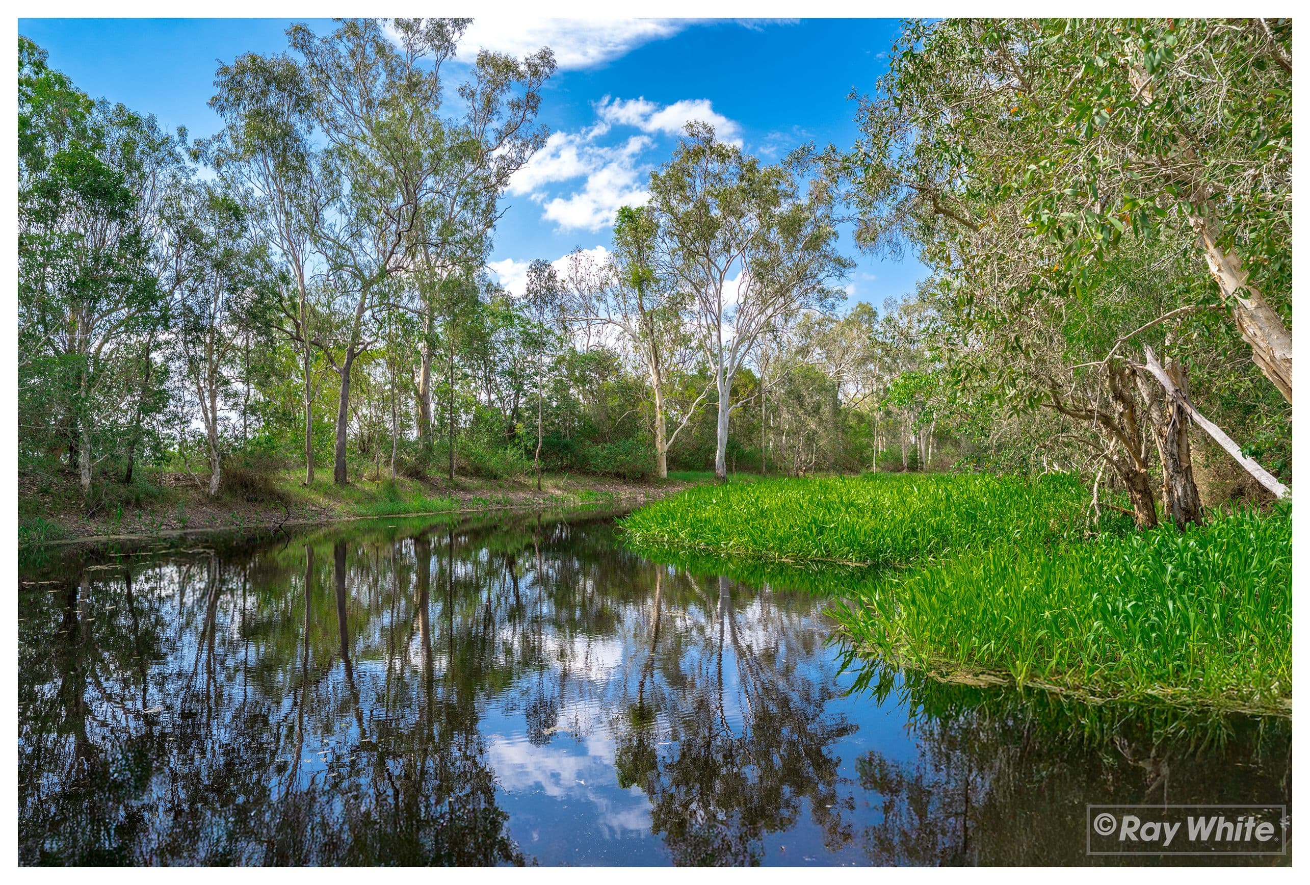 1600 Yeppoon Road, Mulara QLD 4703, Mulara - Thumbnail 7