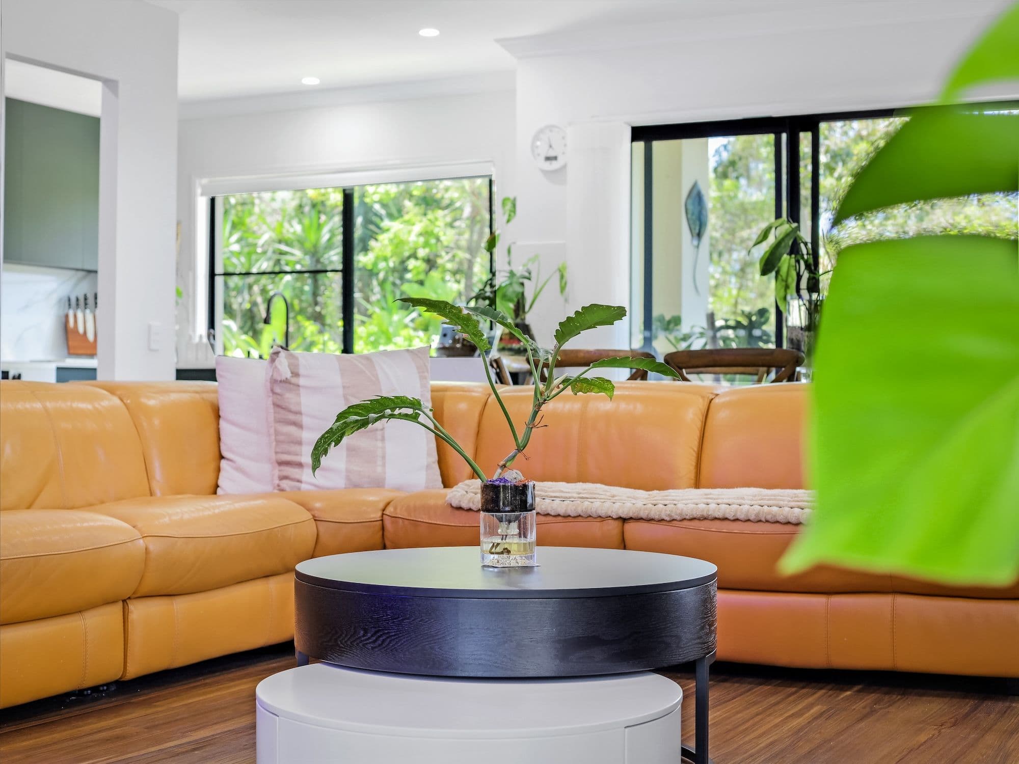 45 Prospect Court, Robina QLD 4226, Robina - Thumbnail 4