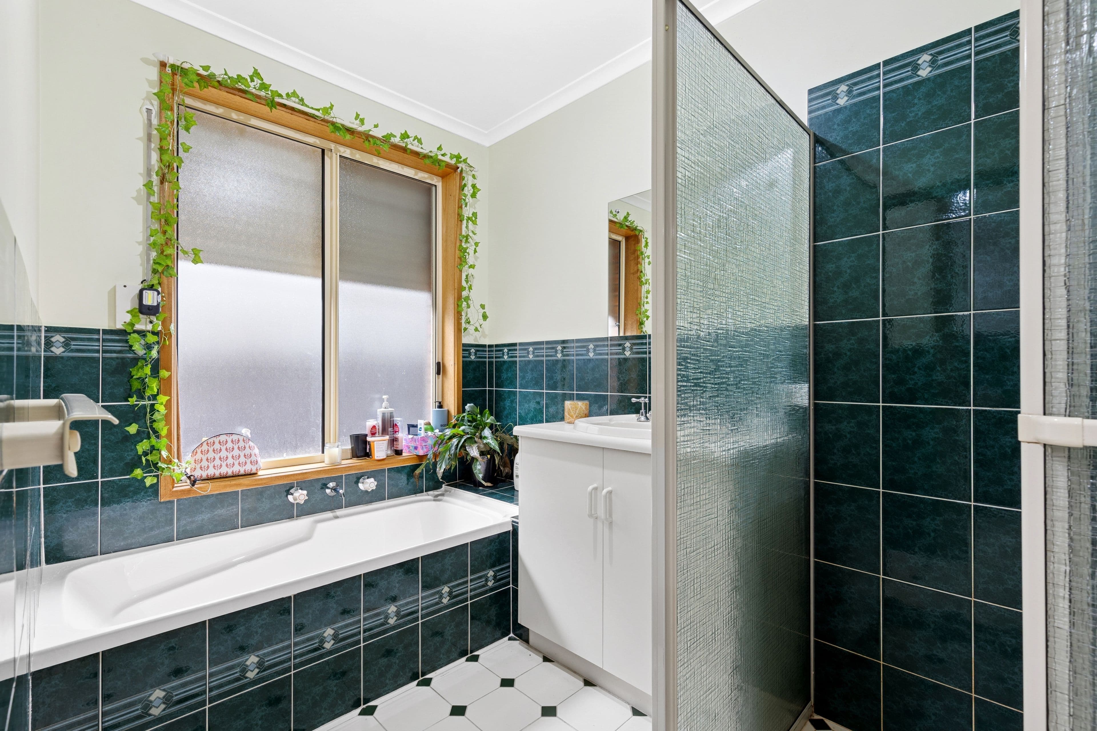 12 Mellor Road, Murray Bridge SA 5253, Murray Bridge - Thumbnail 5