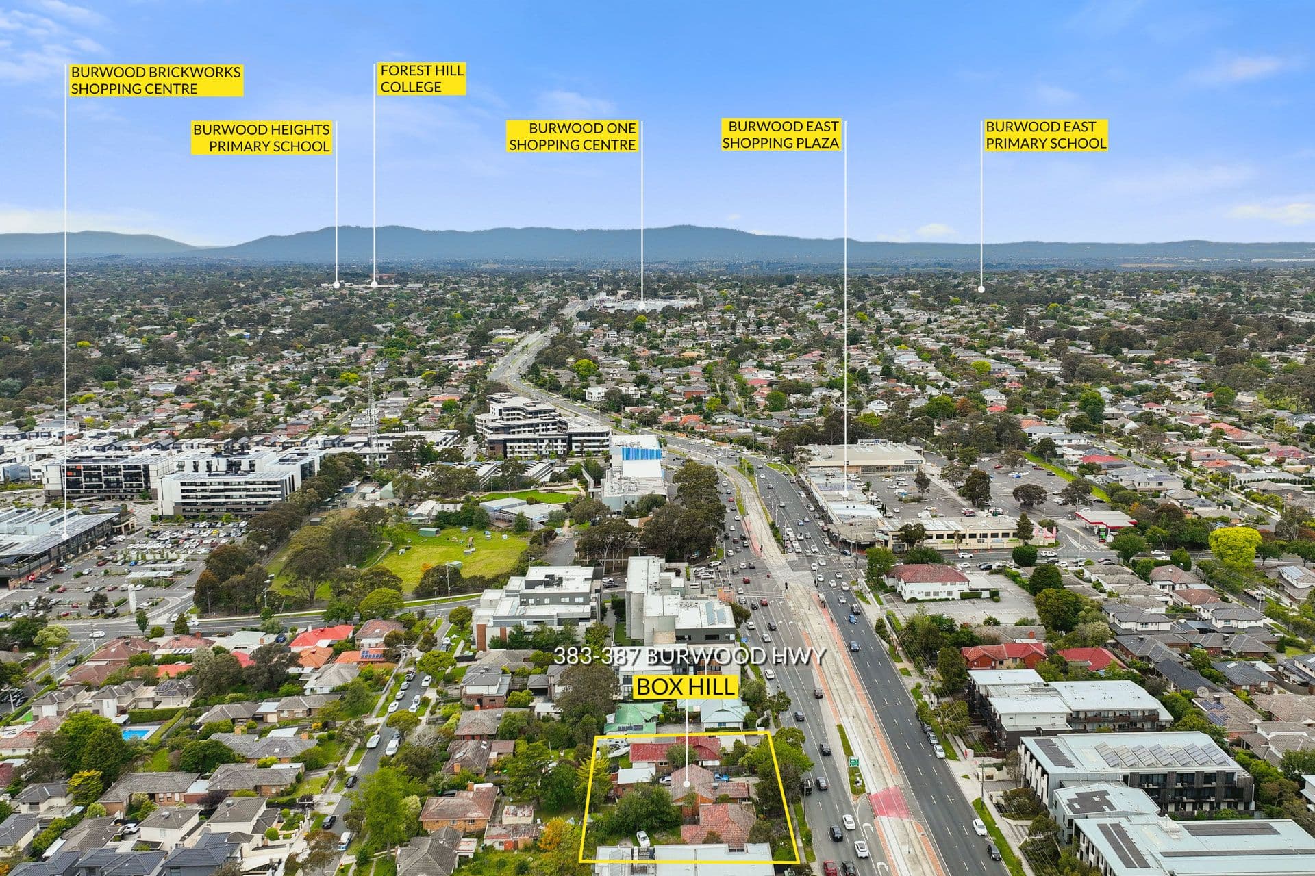 383 Burwood Highway, Burwood VIC 3125, Burwood - Thumbnail 5