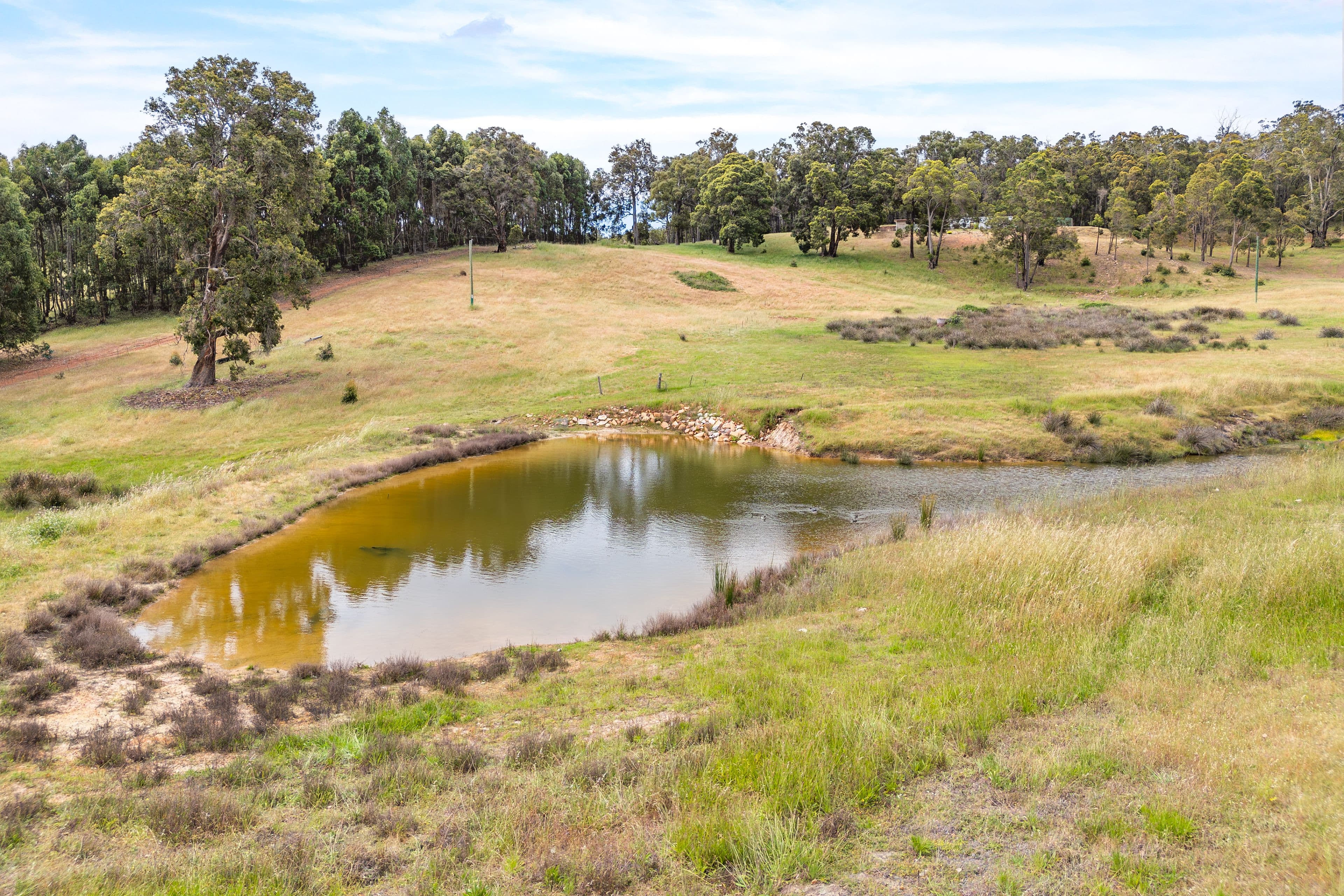 Proposed Lot 1 Mccorkindale Road, Bridgetown WA 6255, Bridgetown - Thumbnail 4