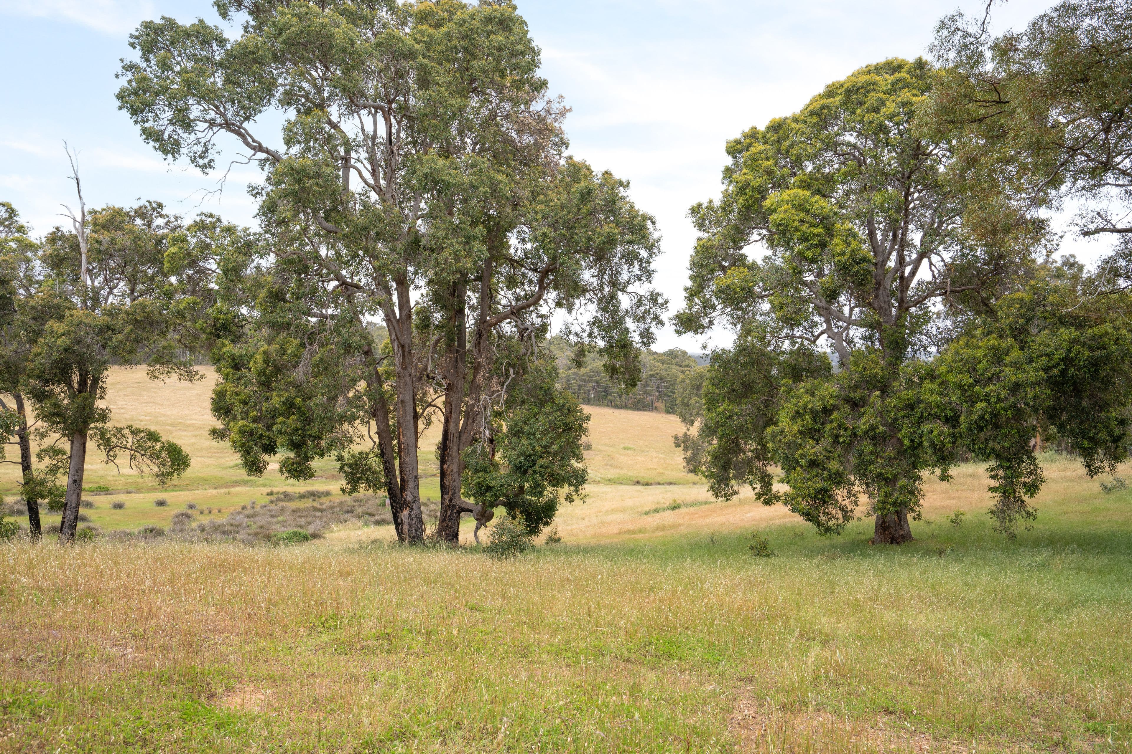 Proposed Lot 1 Mccorkindale Road, Bridgetown WA 6255, Bridgetown - Thumbnail 5