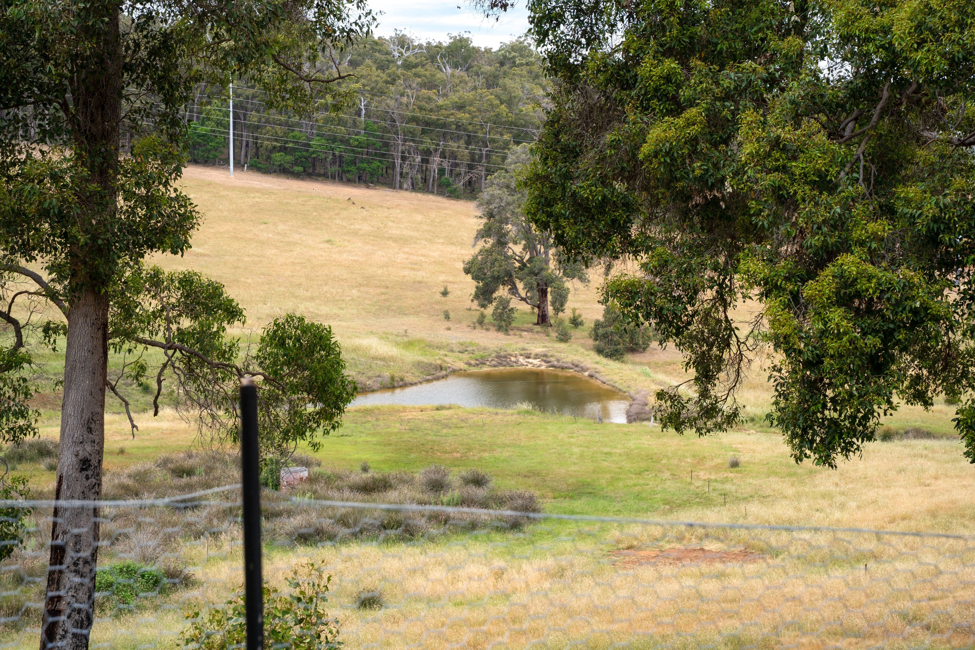 Proposed Lot 1 Mccorkindale Road, Bridgetown WA 6255, Bridgetown - Thumbnail 6