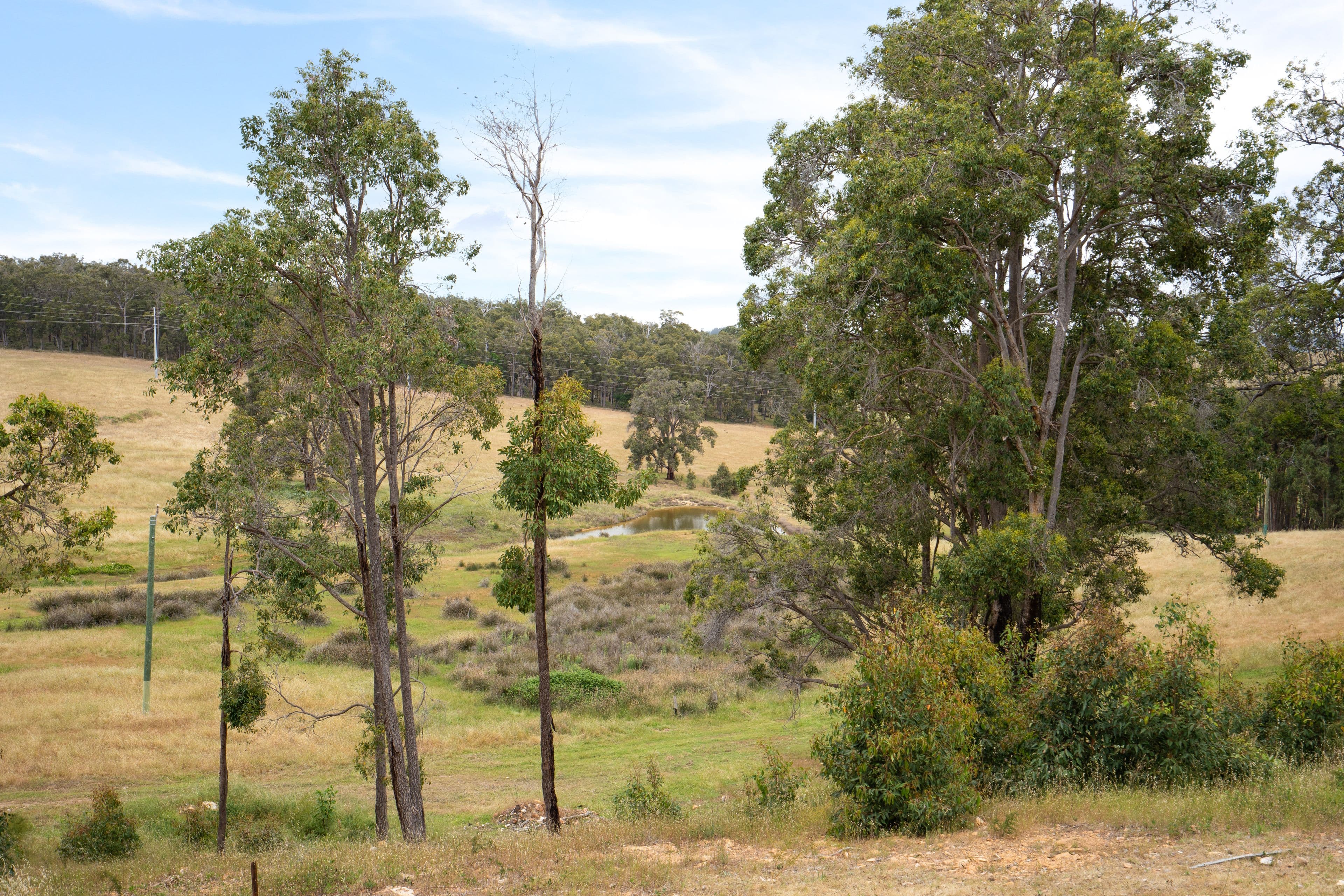Proposed Lot 1 Mccorkindale Road, Bridgetown WA 6255, Bridgetown - Thumbnail 7
