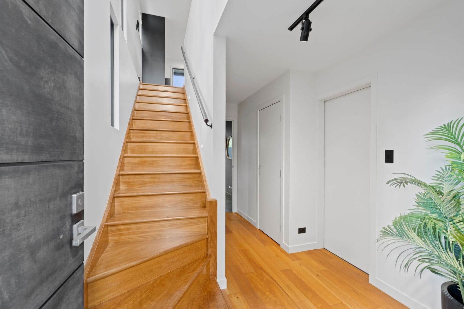 42 Baron Street, Greenslopes QLD 4120, Greenslopes - Thumbnail 3