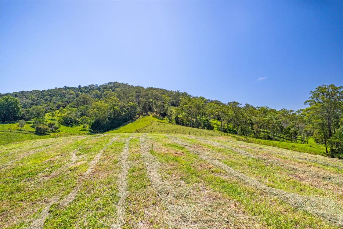 343 Happy Valley Road, KANDANGA CREEK, QLD 4570, Kandanga Creek - Thumbnail 6