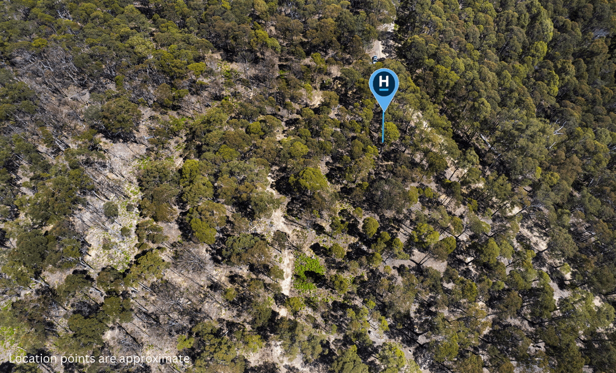 123 German Town, ST MARYS, TAS 7215, St Marys - Thumbnail 5