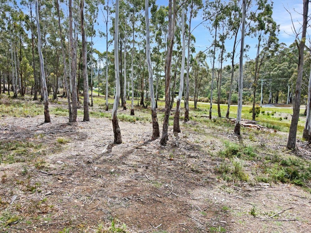 32 Irish Town Road - Part PID-2697710, ST MARYS, TAS 7215, St Marys - Thumbnail 5