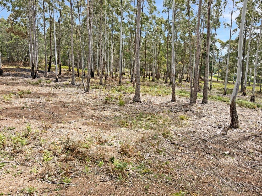32 Irish Town Road - Part PID-2697710, ST MARYS, TAS 7215, St Marys - Thumbnail 6