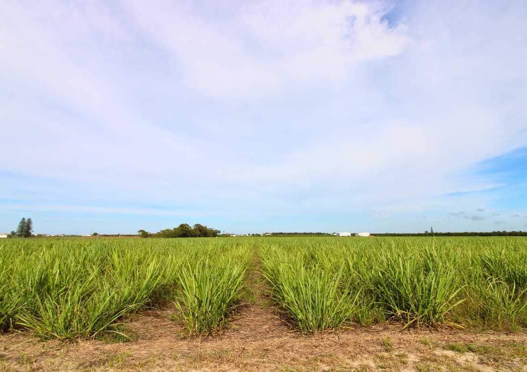 Lot 2 Barazzas Road, ALLOWAY, QLD 4670, Alloway - Thumbnail 3