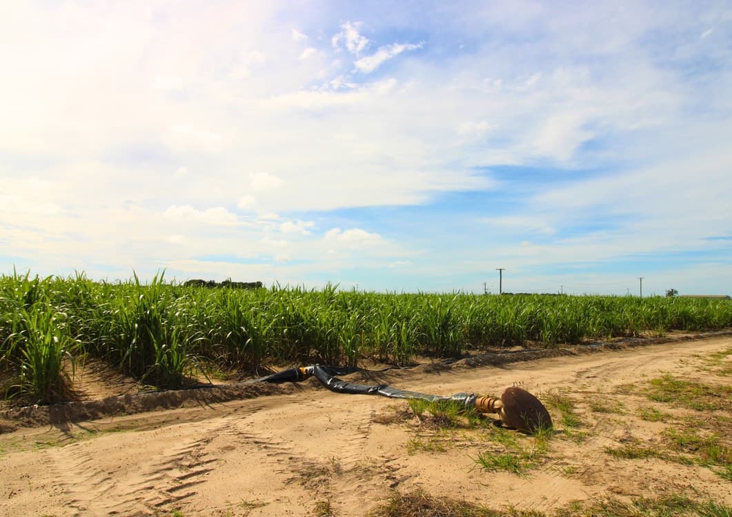 Lot 2 Barazzas Road, ALLOWAY, QLD 4670, Alloway - Thumbnail 6