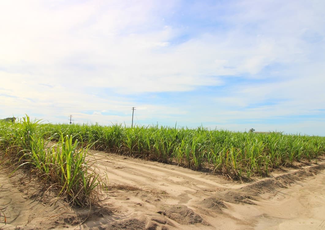 Lot 2 Barazzas Road, ALLOWAY, QLD 4670, Alloway - Thumbnail 8