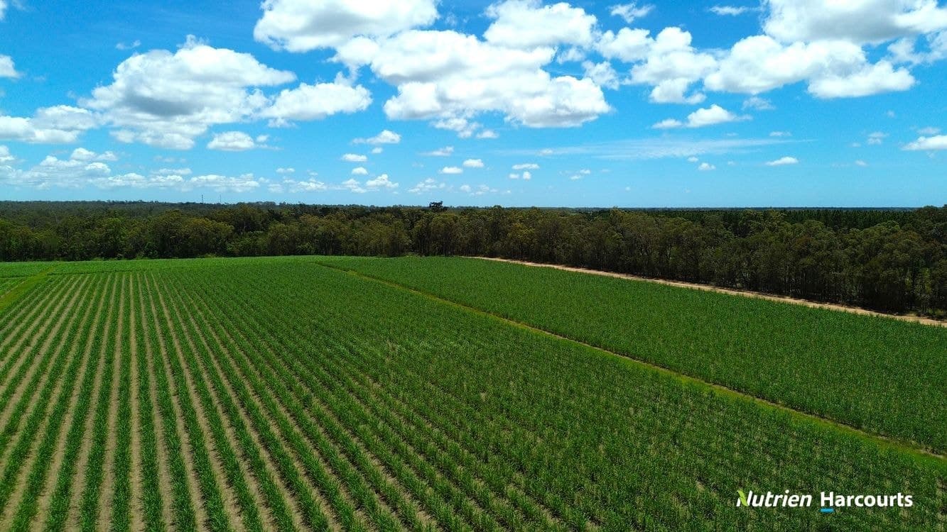 3392 Childers Road, GREGORY RIVER, QLD 4660, Gregory River - Thumbnail 3