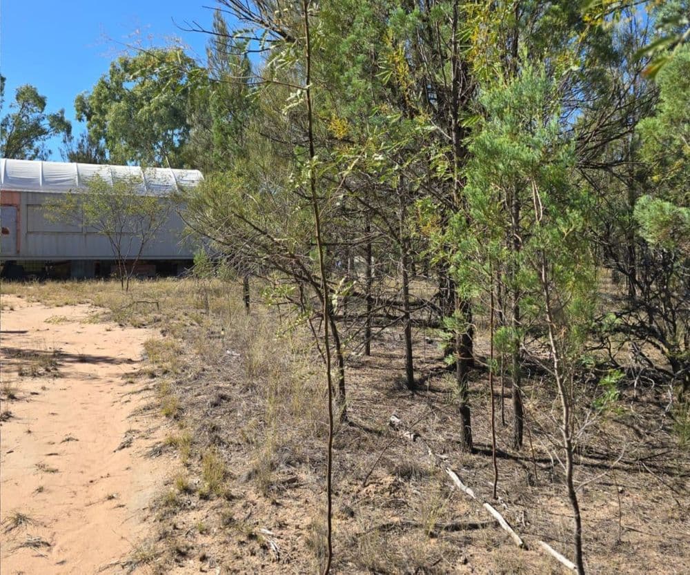 72 & 73 Community Lane, GORANBA, QLD 4421, Goranba - Thumbnail 6