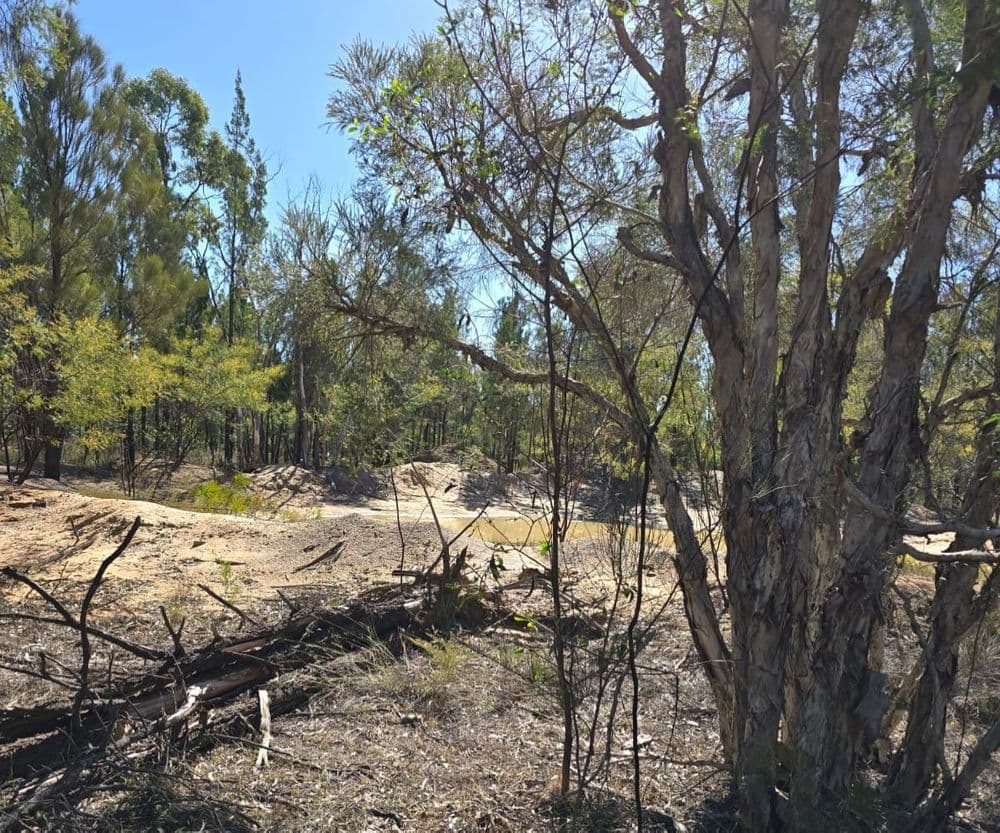 72 & 73 Community Lane, GORANBA, QLD 4421, Goranba - Thumbnail 8
