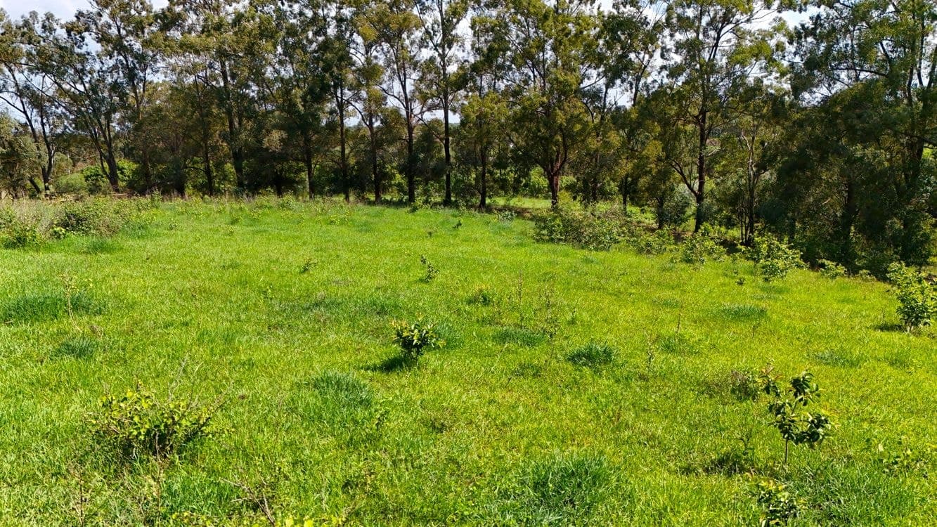 12 GOODWOOD ROAD, CHILDERS, QLD 4660, Childers - Thumbnail 3