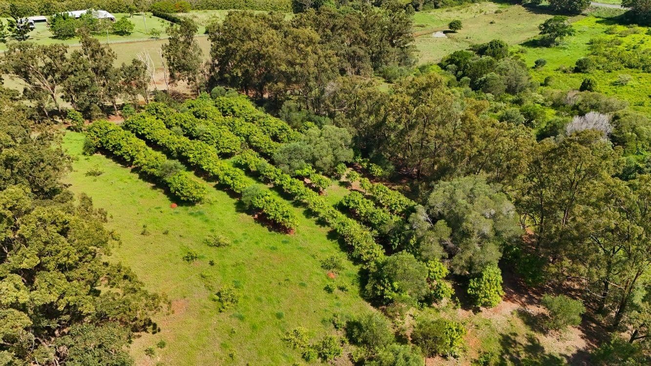12 GOODWOOD ROAD, CHILDERS, QLD 4660, Childers - Thumbnail 4