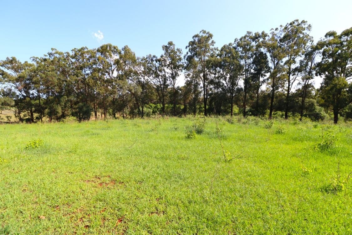 12 GOODWOOD ROAD, CHILDERS, QLD 4660, Childers - Thumbnail 6