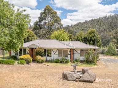 4 Ayres Court, CAMBRIDGE, TAS 7170, Cambridge - Image 1