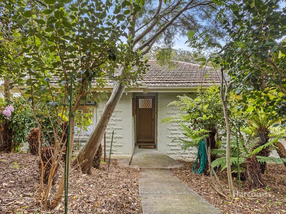 55 Strickland Avenue, SOUTH HOBART, TAS 7004, South Hobart - Thumbnail 4