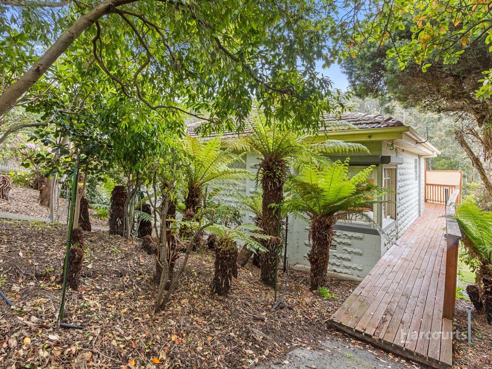 55 Strickland Avenue, SOUTH HOBART, TAS 7004, South Hobart - Thumbnail 5