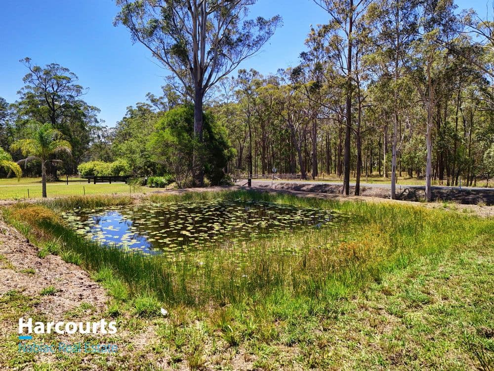 6 Sheltie Place, NABIAC, NSW 2312, Nabiac - Thumbnail 6