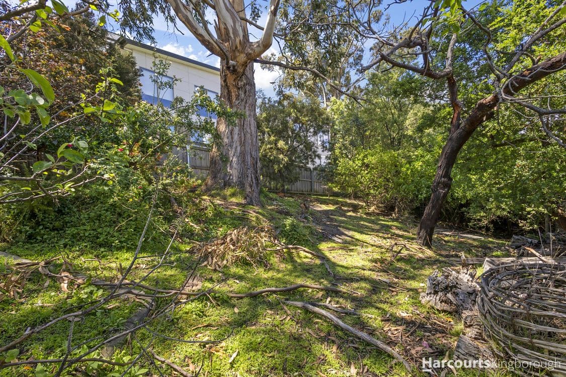 25 Blowhole Road, BLACKMANS BAY, TAS 7052, Blackmans Bay - Thumbnail 6