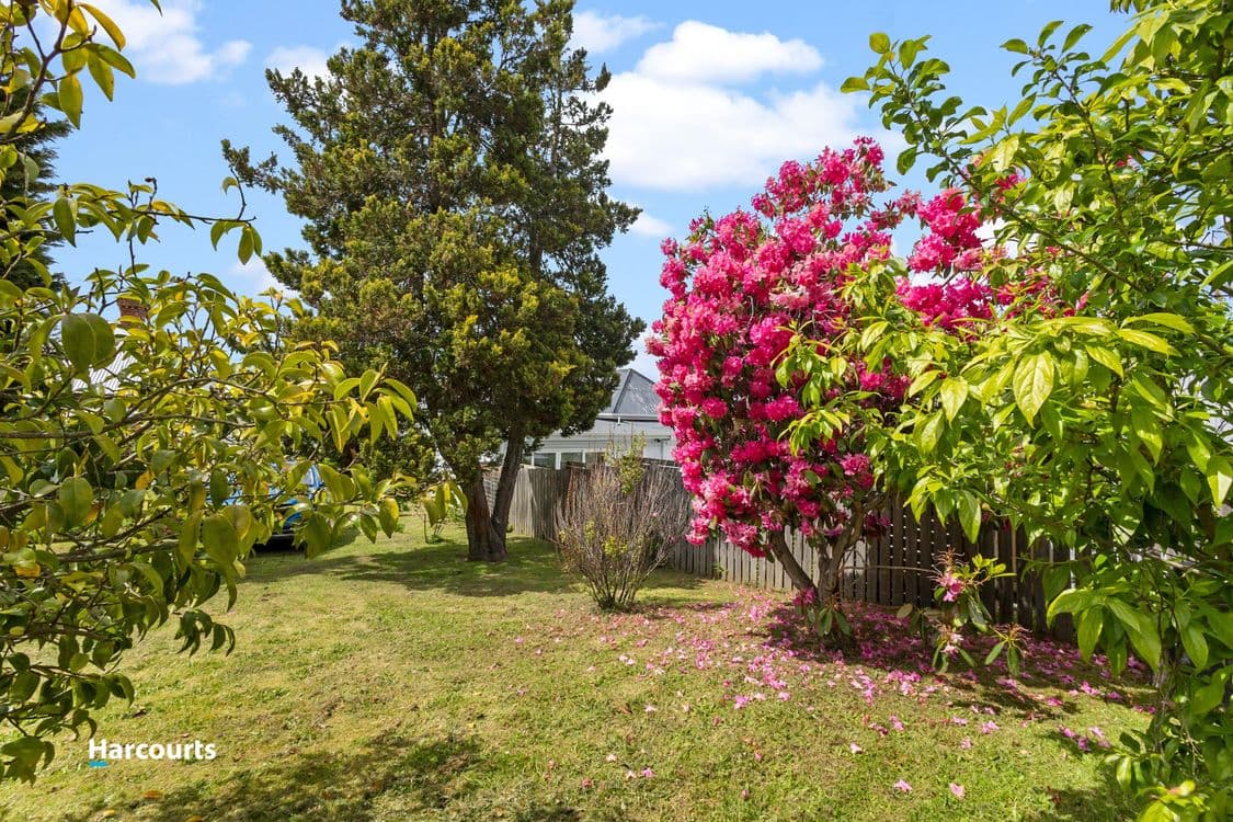 3352 Huon Highway, FRANKLIN, TAS 7113, Franklin - Thumbnail 8