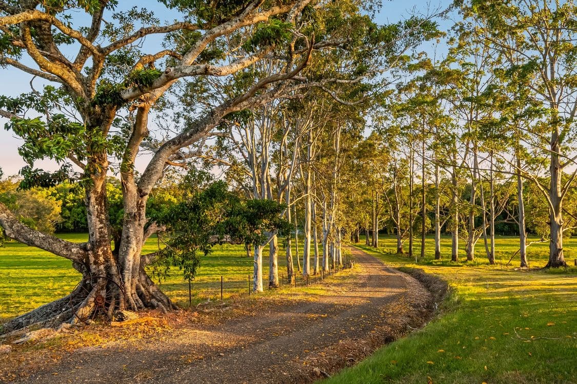 428 Old Bagotville Road, MEERSCHAUM VALE, NSW 2477, Bagotville - Thumbnail 4