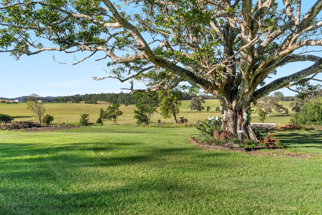 428 Old Bagotville Road, MEERSCHAUM VALE, NSW 2477, Bagotville - Thumbnail 8