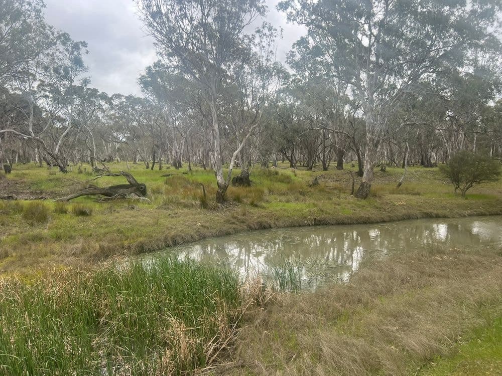 1/ Lanes Avenue, QUANTONG, VIC 3401, Quantong - Thumbnail 6