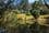 345 Glauders Road, PEMBERTON, WA 6260, Collins - Image 1