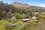 184 Brodies Road, GOLDEN VALLEY, TAS 7304, Golden Valley - Image 1
