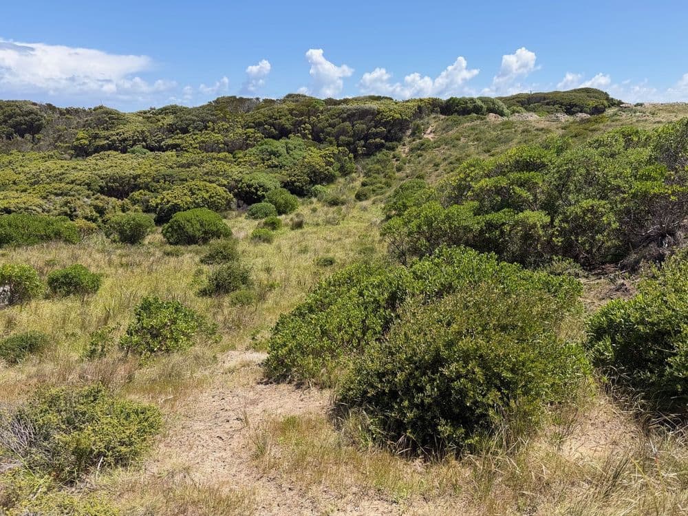 20 Elginshore Drive, CURRIE, TAS 7256, Currie - Thumbnail 3