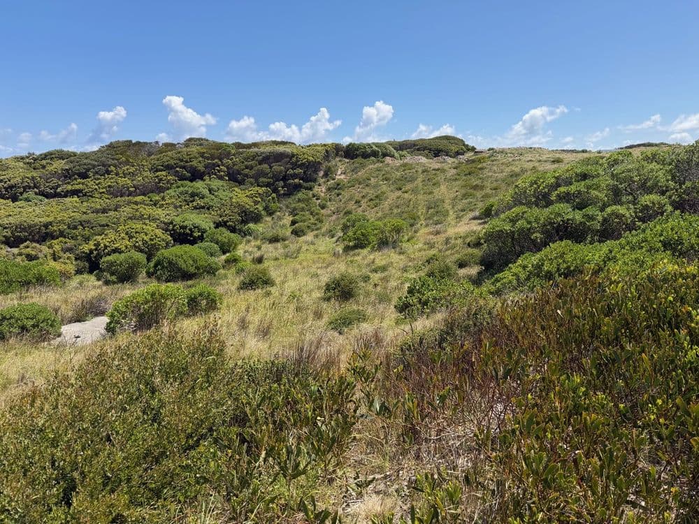 20 Elginshore Drive, CURRIE, TAS 7256, Currie - Thumbnail 6