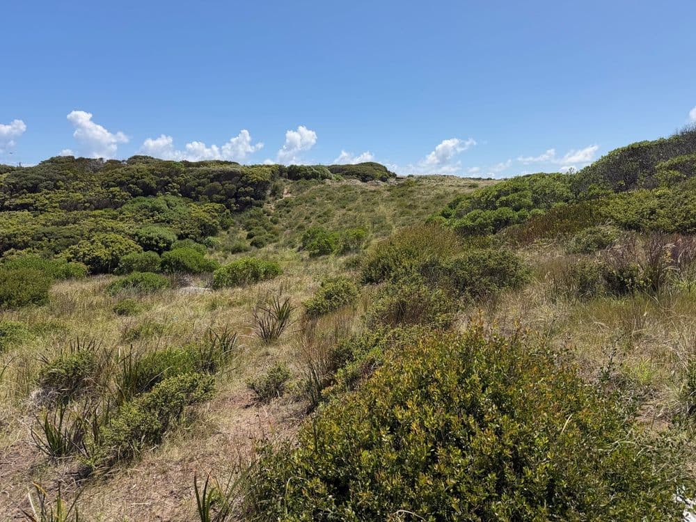 20 Elginshore Drive, CURRIE, TAS 7256, Currie - Thumbnail 7