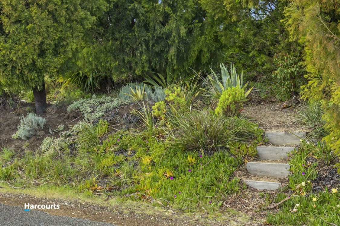 Lot 1 Gospel Hall Road, GARDNERS BAY, TAS 7112, Gardners Bay - Thumbnail 4