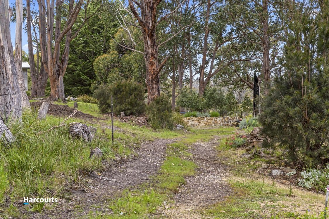 Lot 1 Gospel Hall Road, GARDNERS BAY, TAS 7112, Gardners Bay - Thumbnail 5