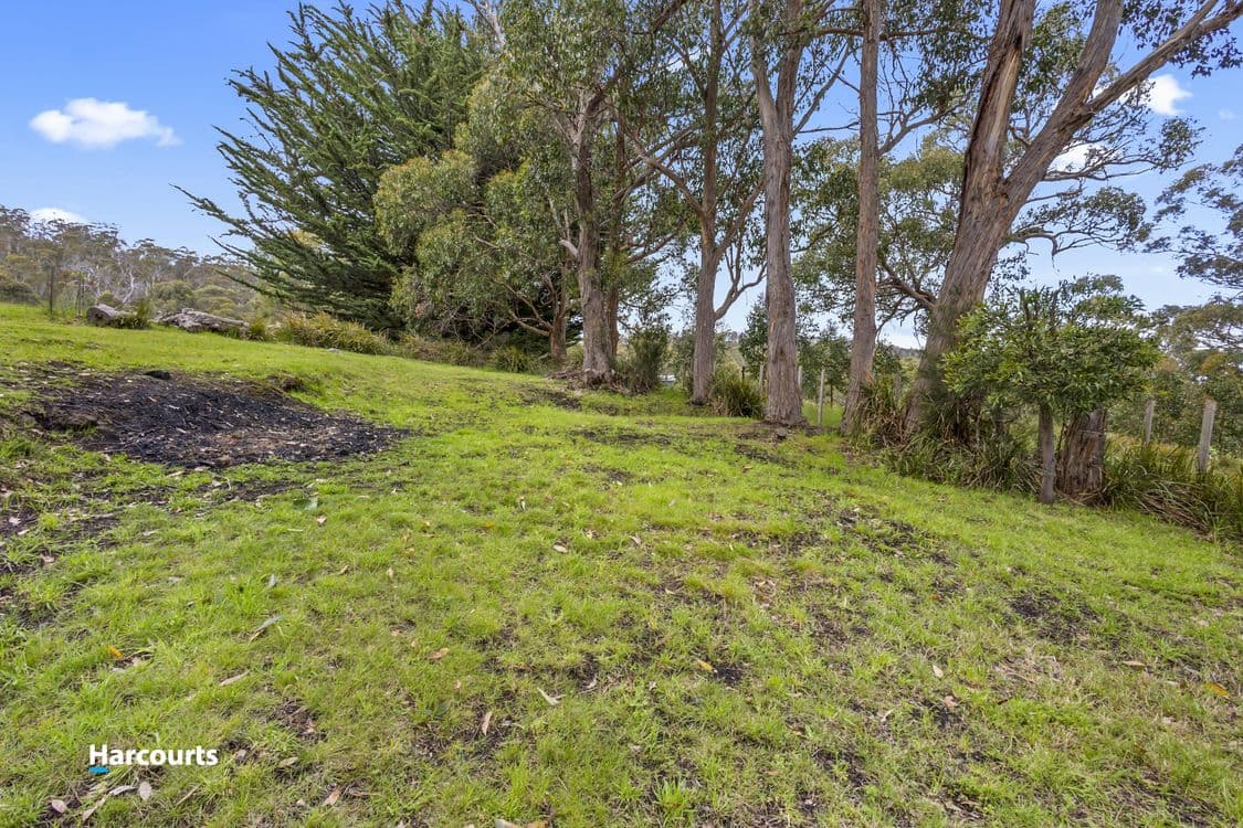 Lot 1 Gospel Hall Road, GARDNERS BAY, TAS 7112, Gardners Bay - Thumbnail 6