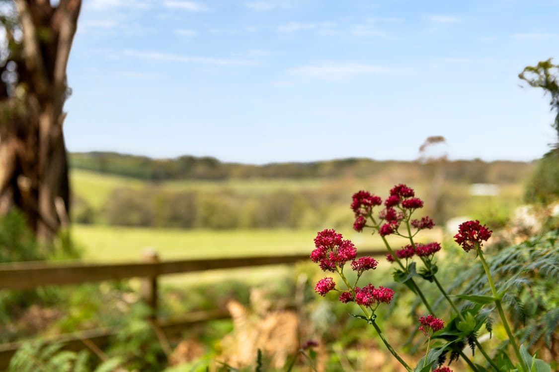2 Barkers Road, FLINDERS, VIC 3929, Flinders - Thumbnail 3