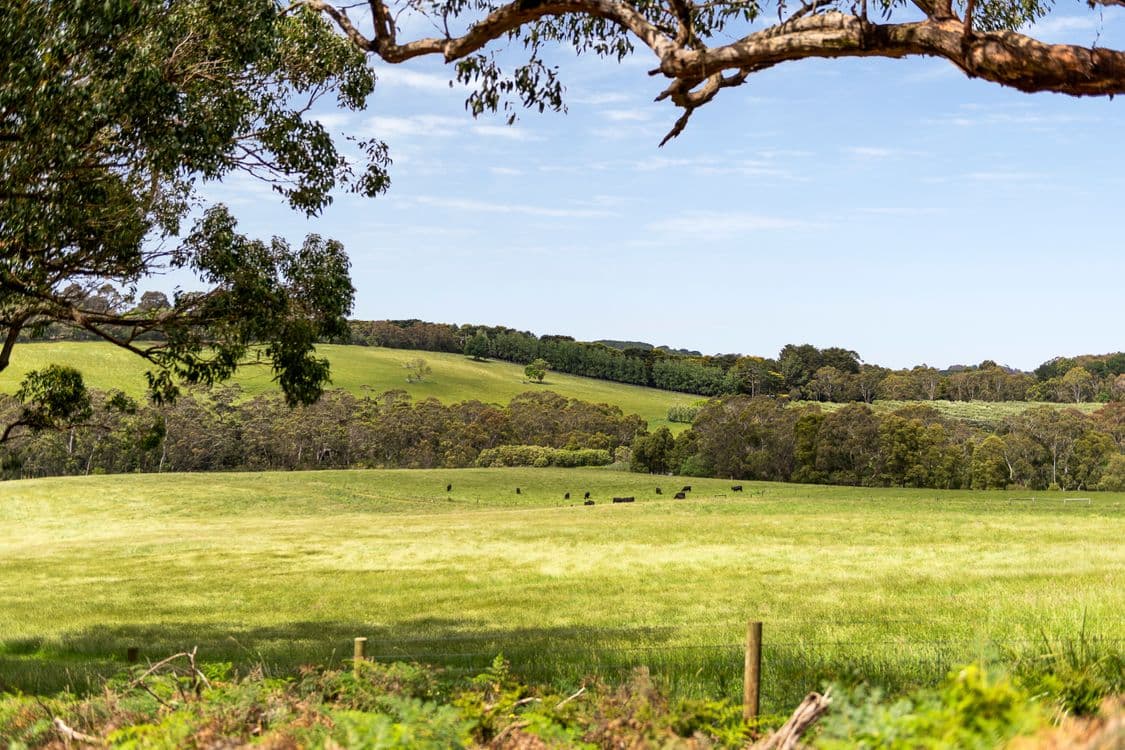 2 Barkers Road, FLINDERS, VIC 3929, Flinders - Thumbnail 7
