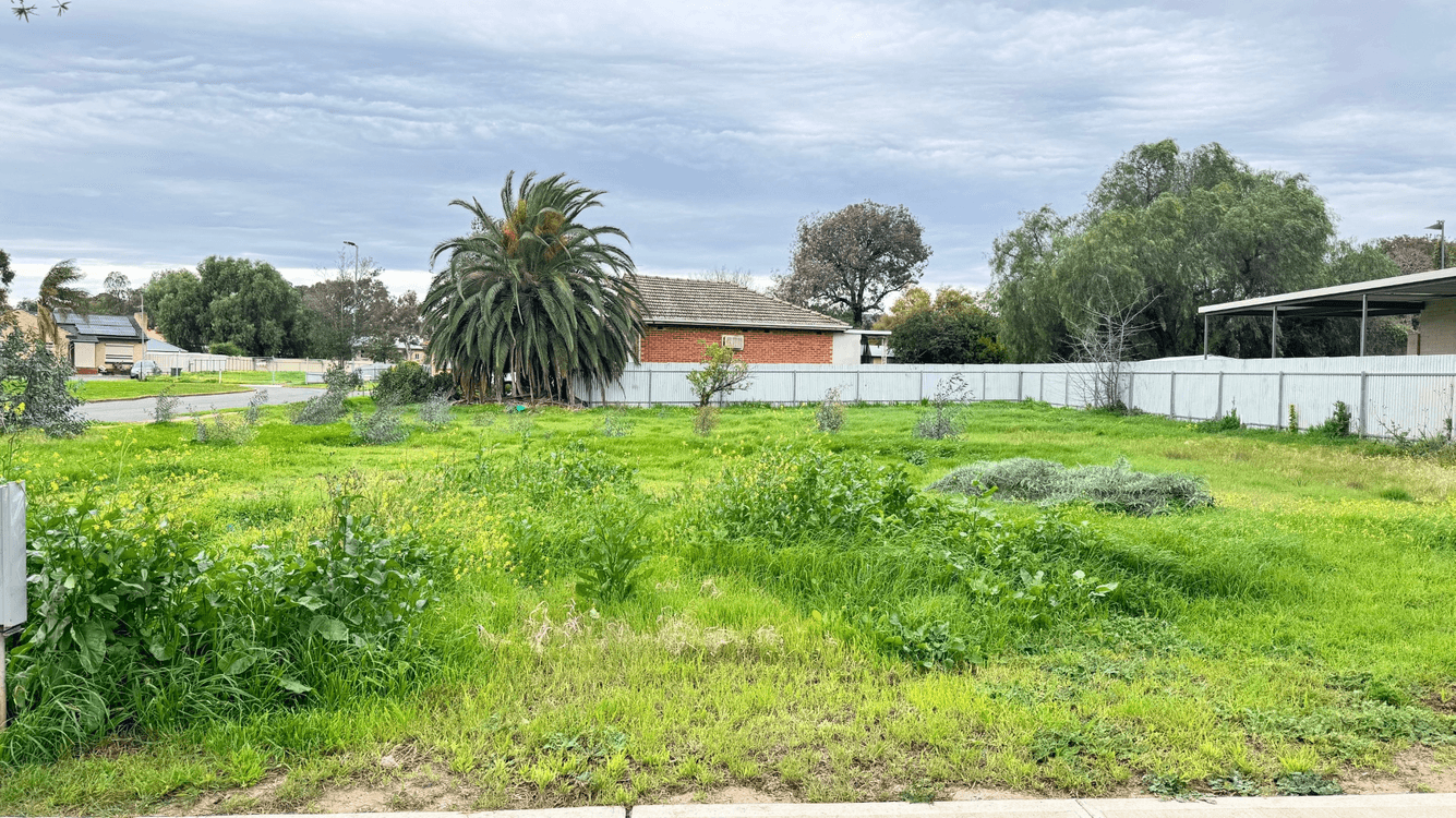 53A Nimitz Road, ELIZABETH EAST, SA 5112, Elizabeth East - Thumbnail 4