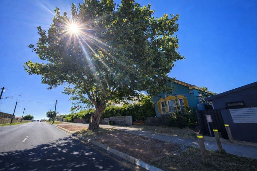 14-16 Clifton Street, BUNBURY, WA 6230, Bunbury - Thumbnail 3