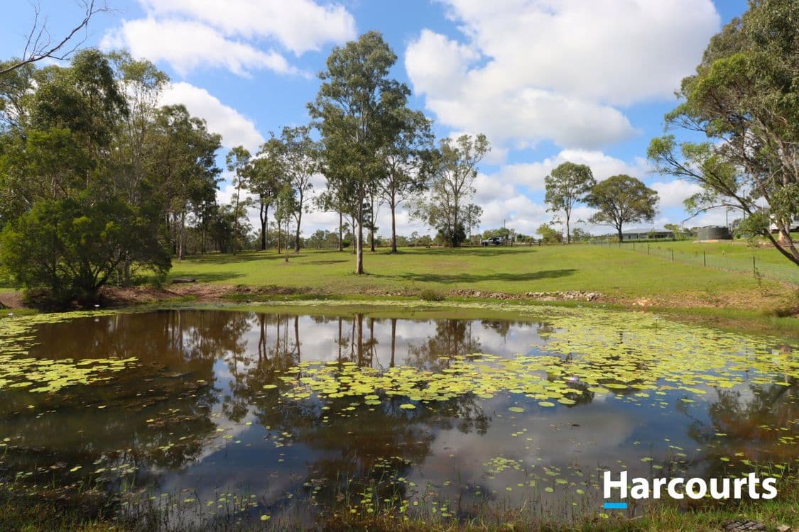 181 Cooks Road, SOUTH ISIS, QLD 4660, South Isis - Thumbnail 4