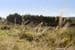 106/Stage 4 Cedar Grove Estate, ST LEONARDS, TAS 7250, St Leonards - Thumbnail 4